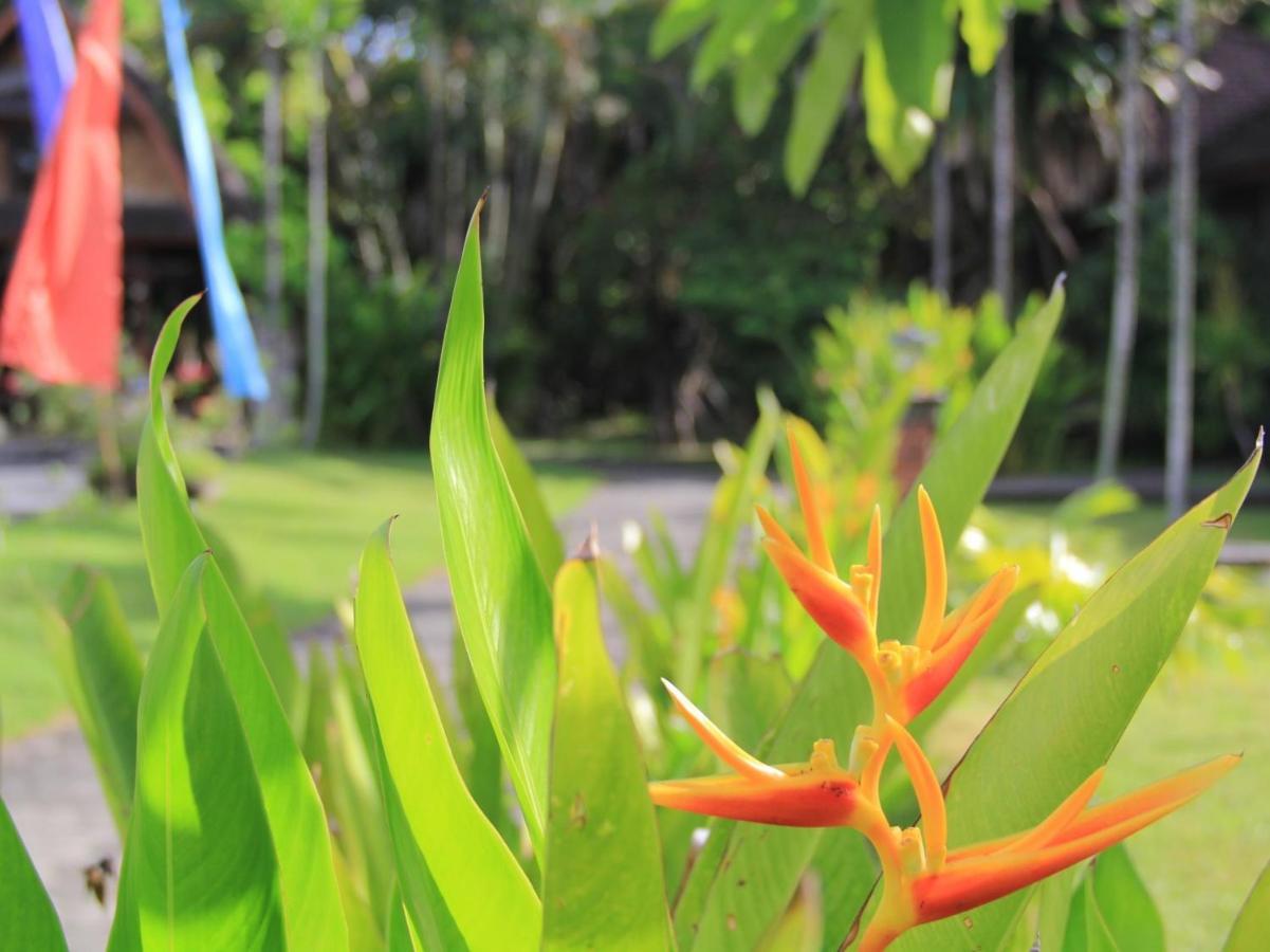 Suji 2* Kuta (Bali)